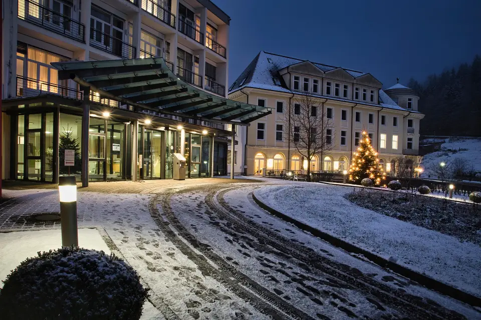 Transfert Hôtel de Luxe